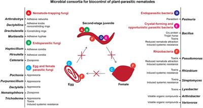 Plants and Associated Soil Microbiota Cooperatively Suppress Plant-Parasitic Nematodes